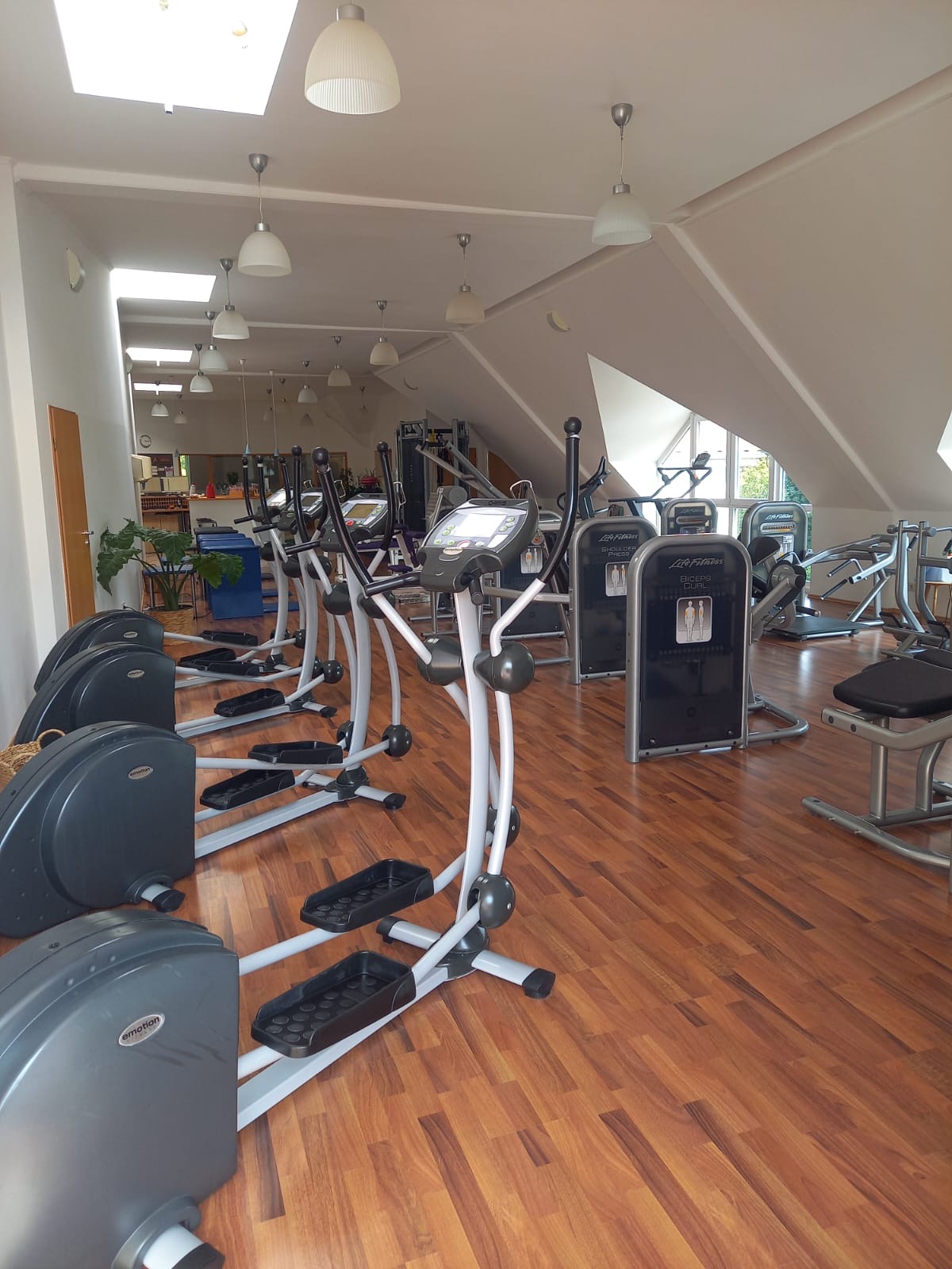 Fitnessbereich überblick 2